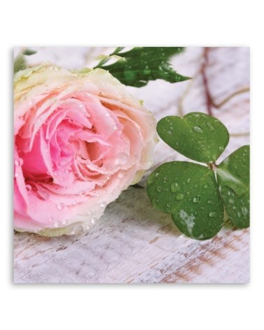 Bild auf Leinwand - Rose Blumen Natur | Feeby