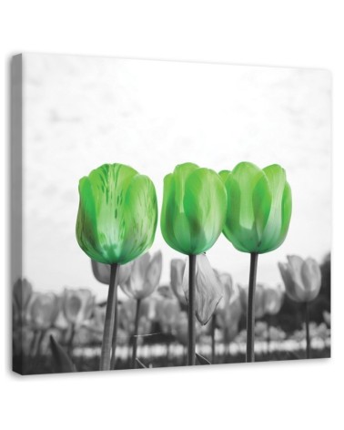 Canvas prints for bedroom modern - Green tulips in a meadow | FEEBY