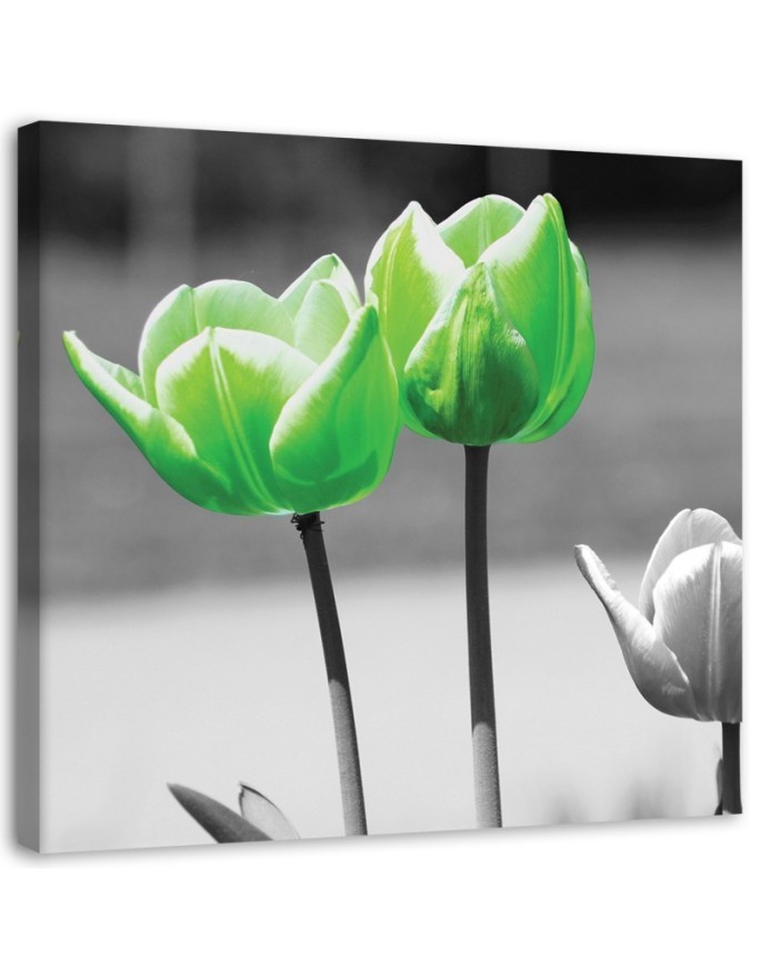 Modernes Wandbild - Grüne Tulpen im Grau | Feeby
