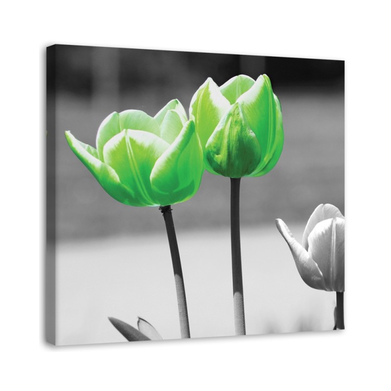 Modernes Wandbild - Grüne Tulpen im Grau | Feeby