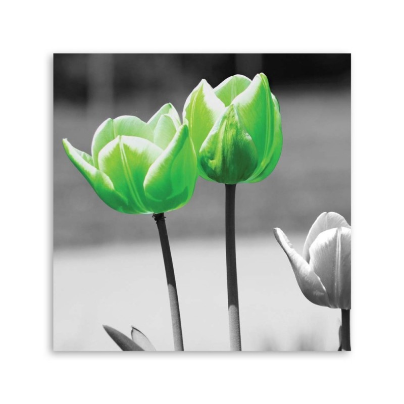 Modernes Wandbild - Grüne Tulpen im Grau | Feeby