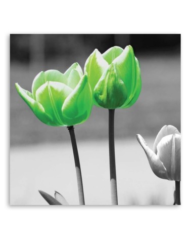 Modernes Wandbild - Grüne Tulpen im Grau | Feeby