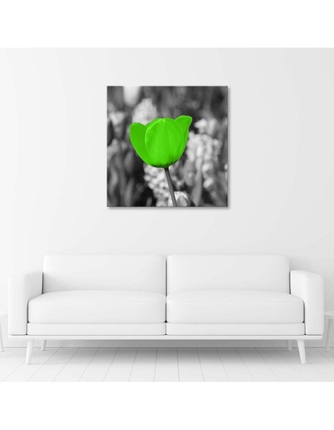 Canvas print modern - Green tulips in a meadow | FEEBY