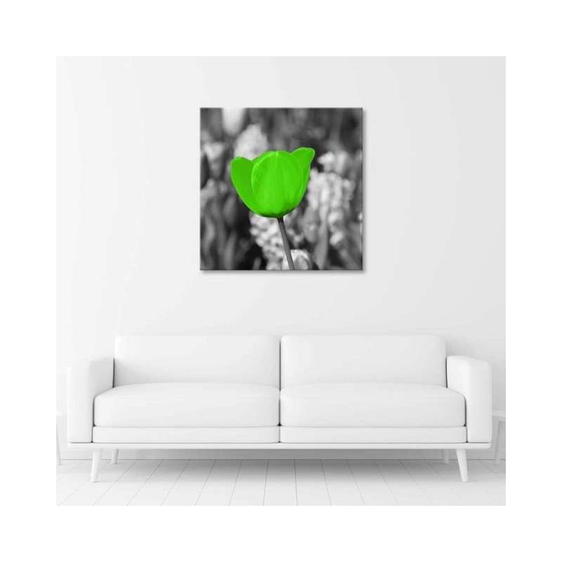 Bild auf Leinwand - Grüne Tulpe auf der Wiese | Feeby