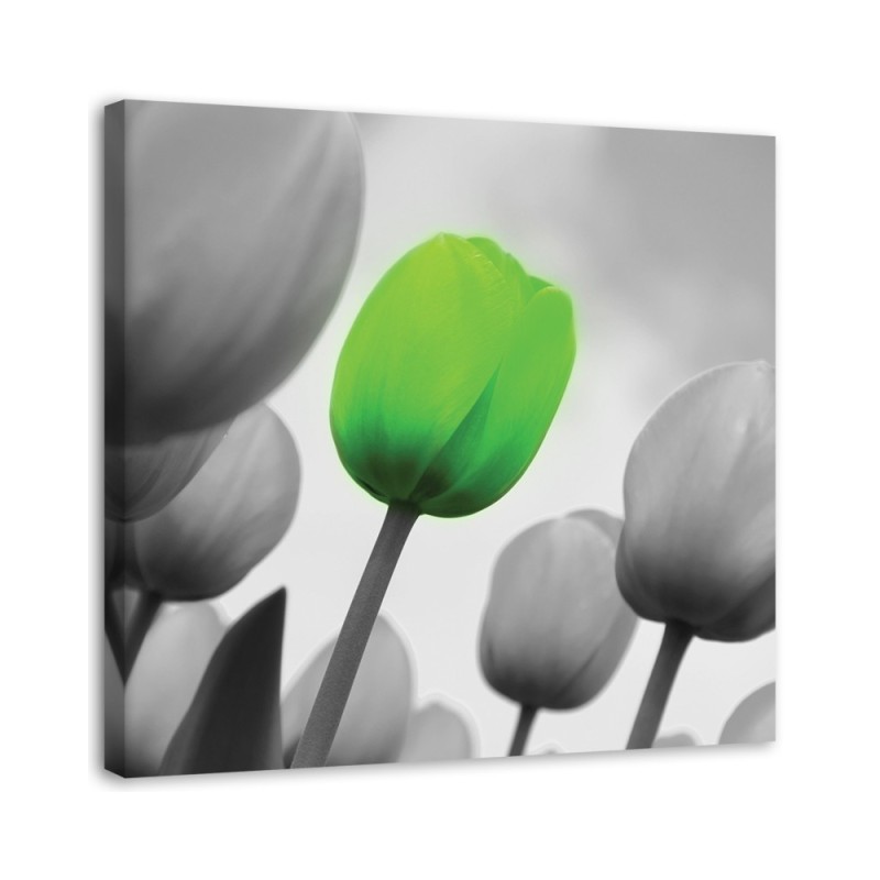 Leinwanddruck - Grüne Tulpe | Feeby