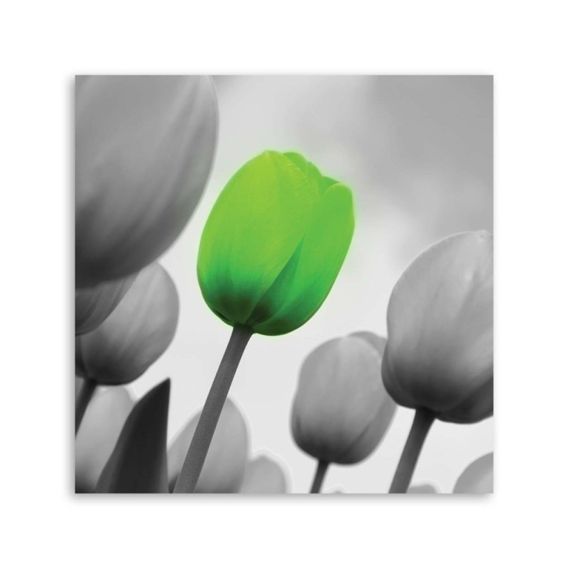 Leinwanddruck - Grüne Tulpe | Feeby