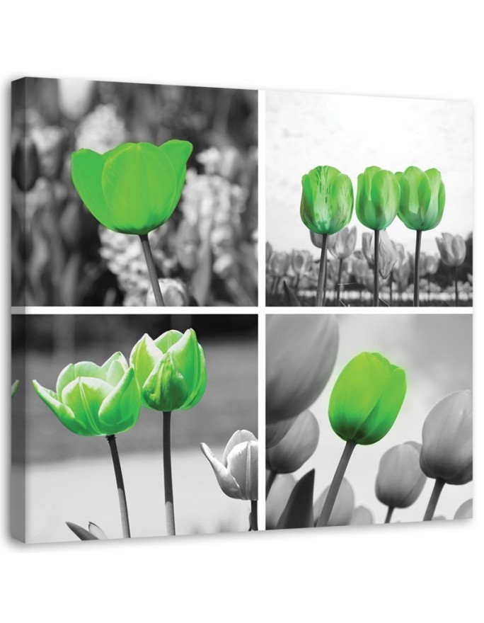 Leinwandbild - Satz grüne Tulpen | Feeby