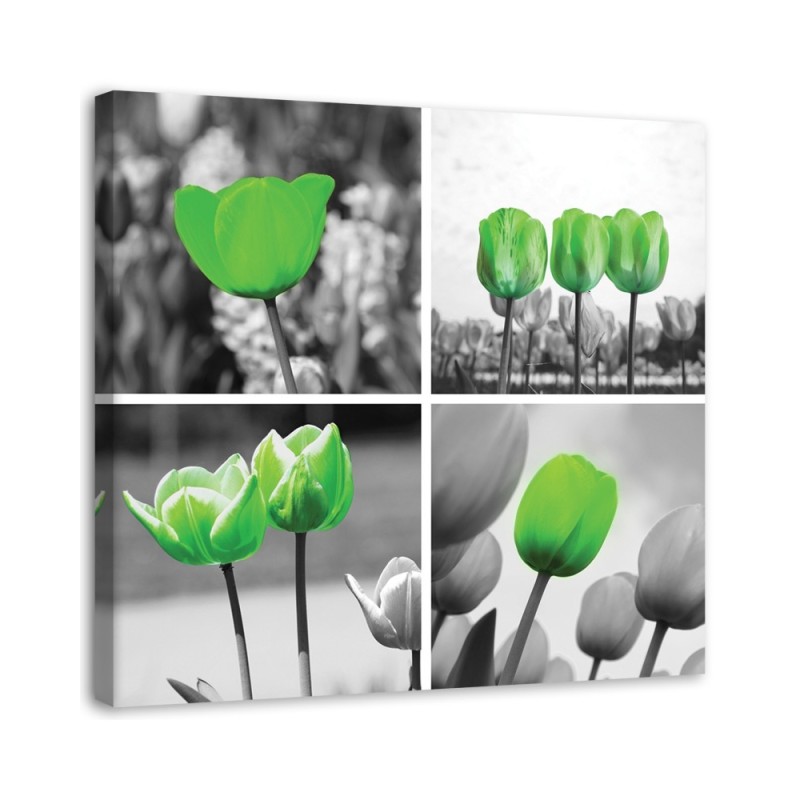 Leinwandbild - Satz grüne Tulpen | Feeby
