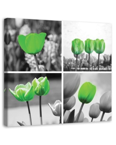 Leinwandbild - Satz grüne Tulpen | Feeby