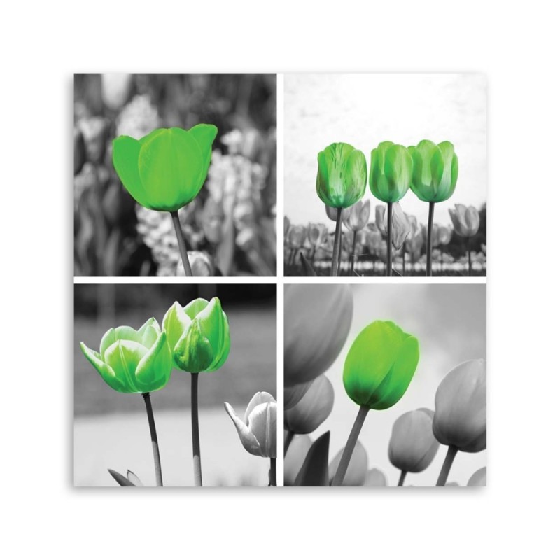 Leinwandbild - Satz grüne Tulpen | Feeby