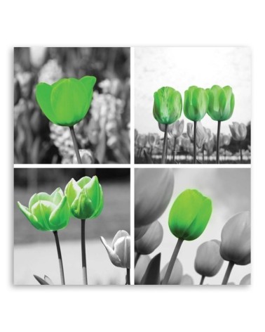 Leinwandbild - Satz grüne Tulpen | Feeby
