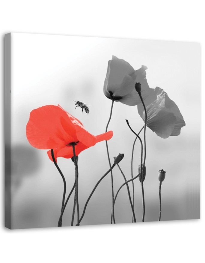 Bild auf Leinwand - Mohnblumen und Bienen | Feeby