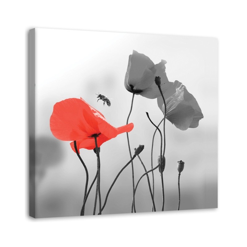 Bild auf Leinwand - Mohnblumen und Bienen | Feeby