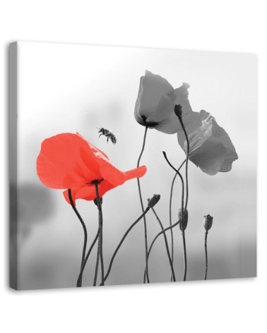 Bild auf Leinwand - Mohnblumen und Bienen | Feeby