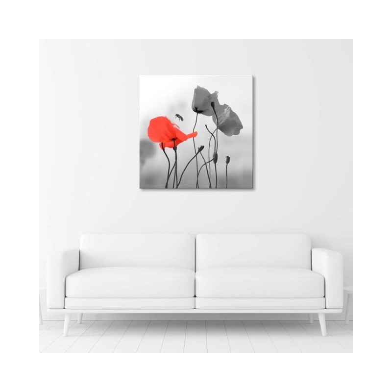 Bild auf Leinwand - Mohnblumen und Bienen | Feeby