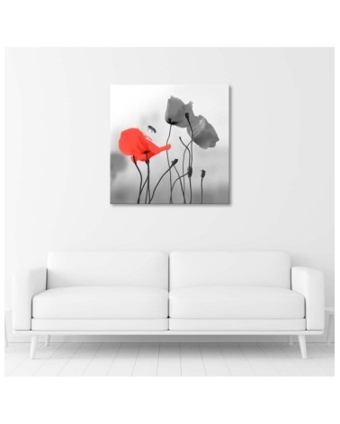 Bild auf Leinwand - Mohnblumen und Bienen | Feeby