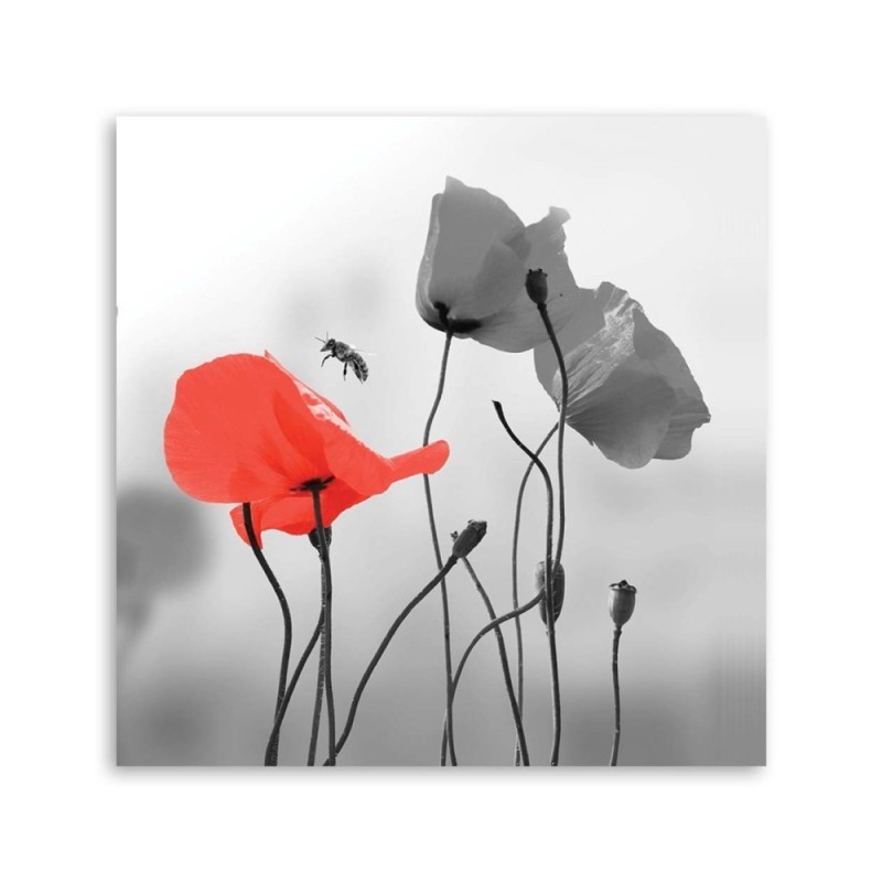 Bild auf Leinwand - Mohnblumen und Bienen | Feeby