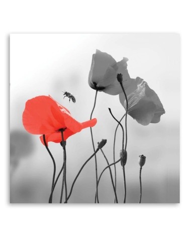 Bild auf Leinwand - Mohnblumen und Bienen | Feeby