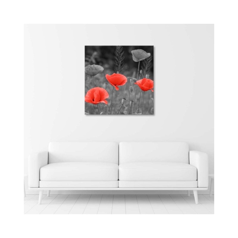 Leinwandbild modern - Klatschmohn | Feeby