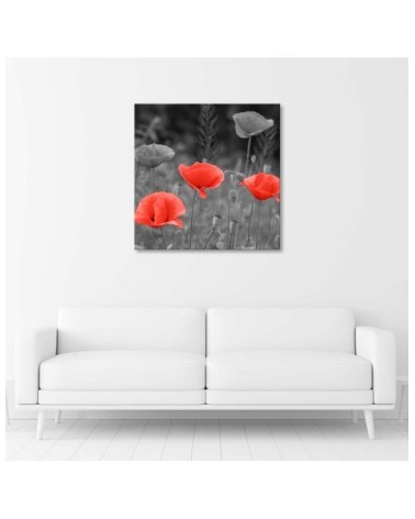Leinwandbild modern - Klatschmohn | Feeby