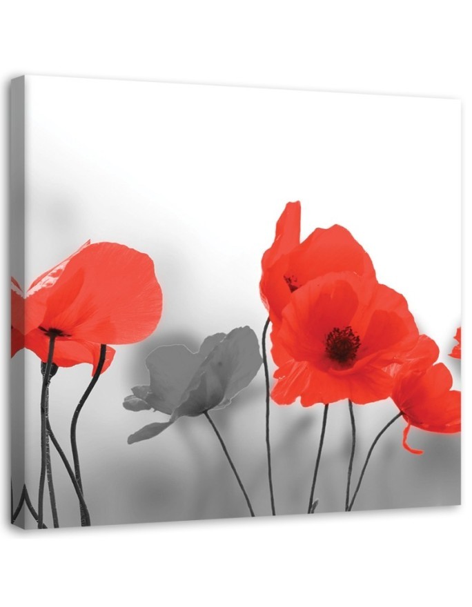 Bild auf Leinwand - Rote Mohnblumen in Grau | Feeby