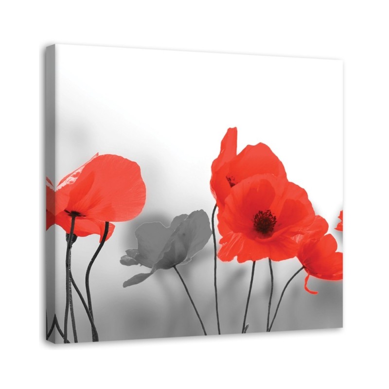 Bild auf Leinwand - Rote Mohnblumen in Grau | Feeby