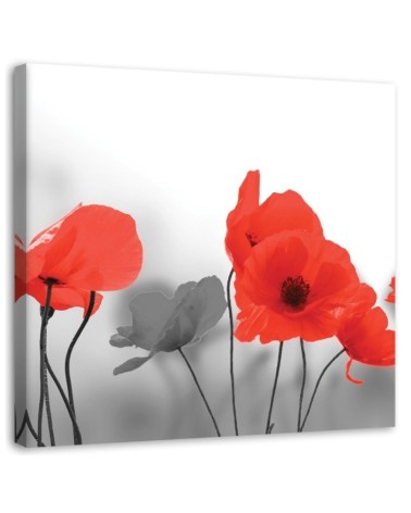 Bild auf Leinwand - Rote Mohnblumen in Grau | Feeby