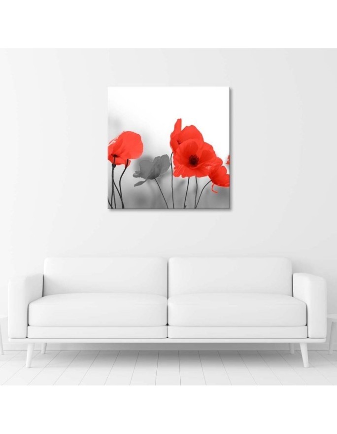 Obraz na płótnie canvas - Czerwone maki w szarości | FEEBY