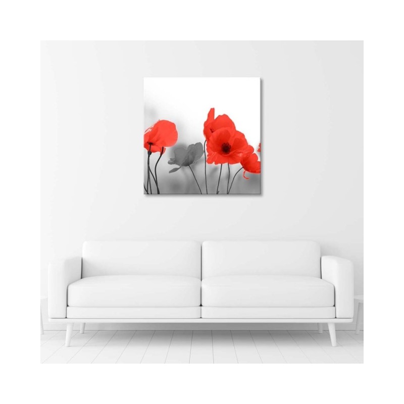 Bild auf Leinwand - Rote Mohnblumen in Grau | Feeby