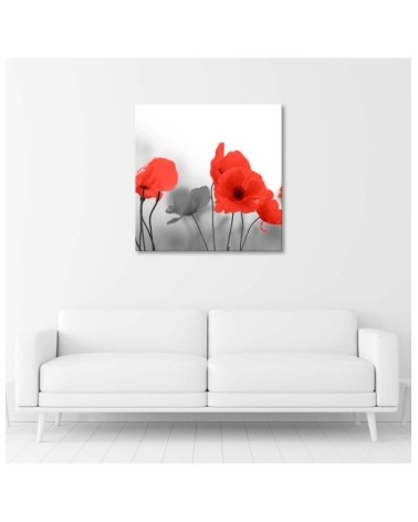 Bild auf Leinwand - Rote Mohnblumen in Grau | Feeby
