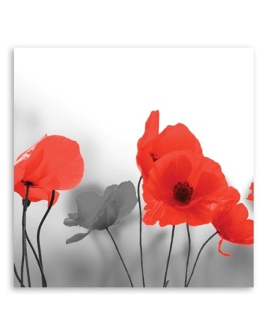Bild auf Leinwand - Rote Mohnblumen in Grau | Feeby