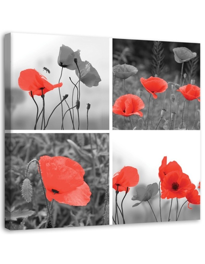 Leinwandbild - Satz rote Mohnblumen | Feeby
