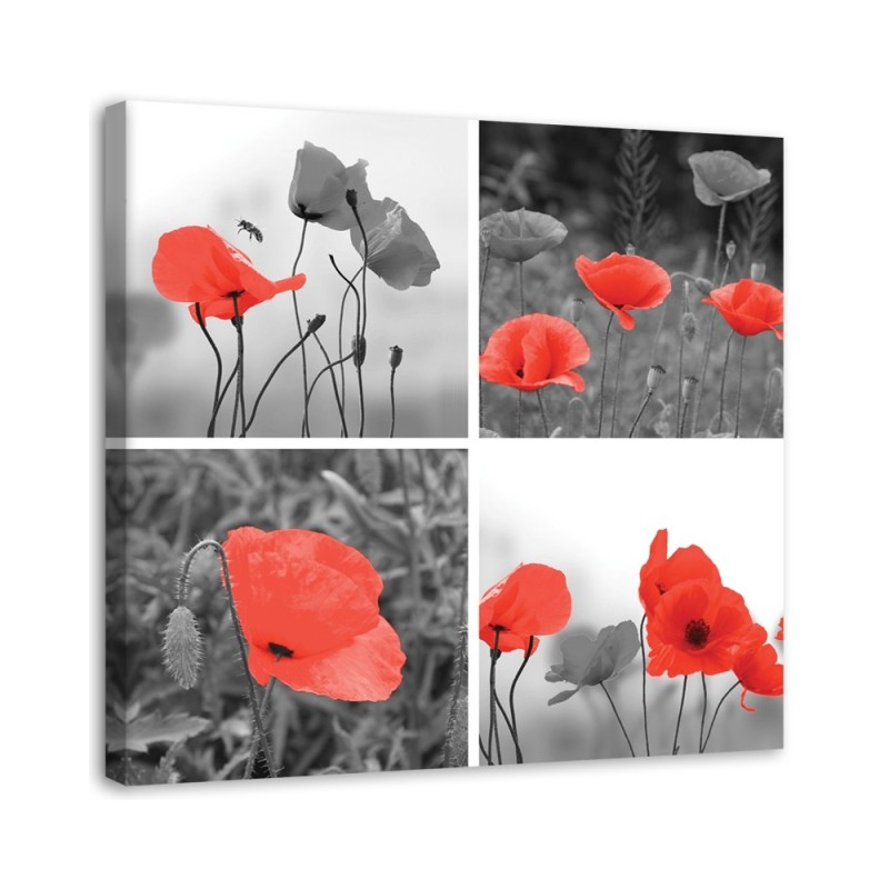 Leinwandbild - Satz rote Mohnblumen | Feeby
