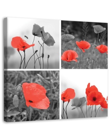 Leinwandbild - Satz rote Mohnblumen | Feeby