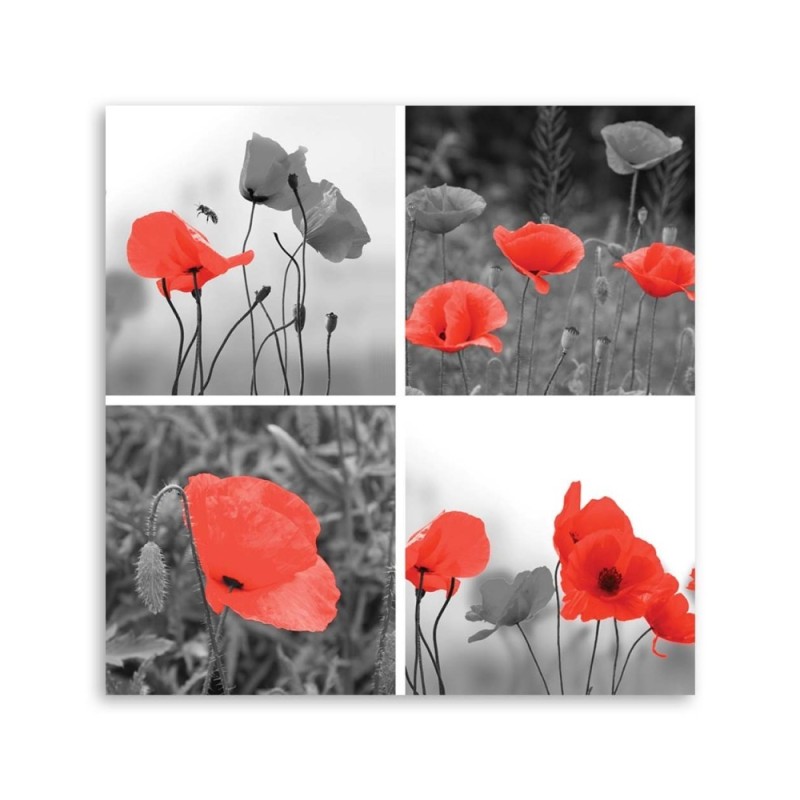 Leinwandbild - Satz rote Mohnblumen | Feeby