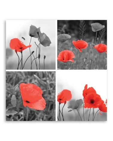 Leinwandbild - Satz rote Mohnblumen | Feeby