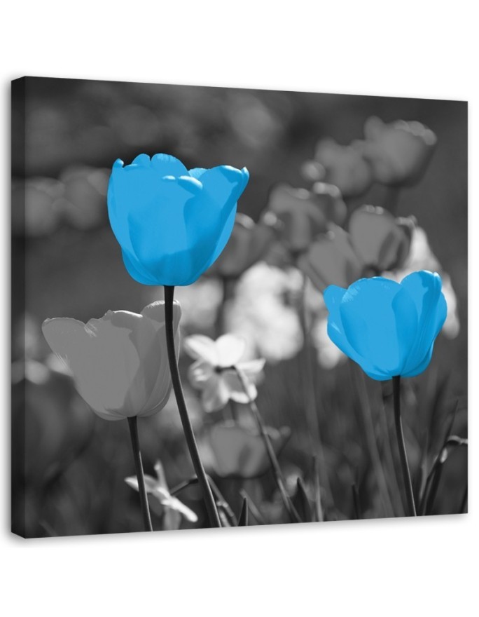 Wandbild für Wohnzimmer - Blaue Tulpen auf einer Wiese | Feeby