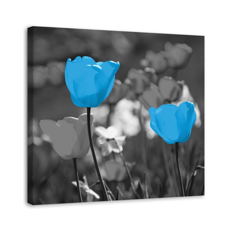 Wandbild für Wohnzimmer - Blaue Tulpen auf einer Wiese | Feeby