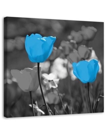 Wandbild für Wohnzimmer - Blaue Tulpen auf einer Wiese | Feeby