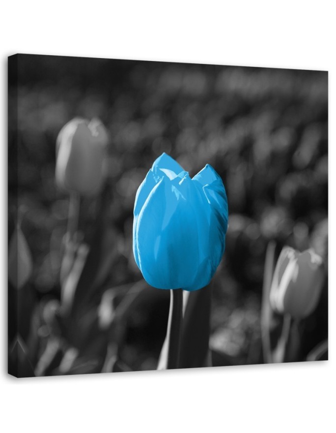 Modernes Wandbild - Blaue Tulpe in Grau | Feeby
