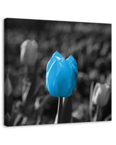 Modernes Wandbild - Blaue Tulpe in Grau | Feeby