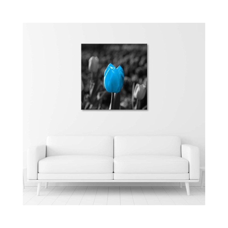 Modernes Wandbild - Blaue Tulpe in Grau | Feeby