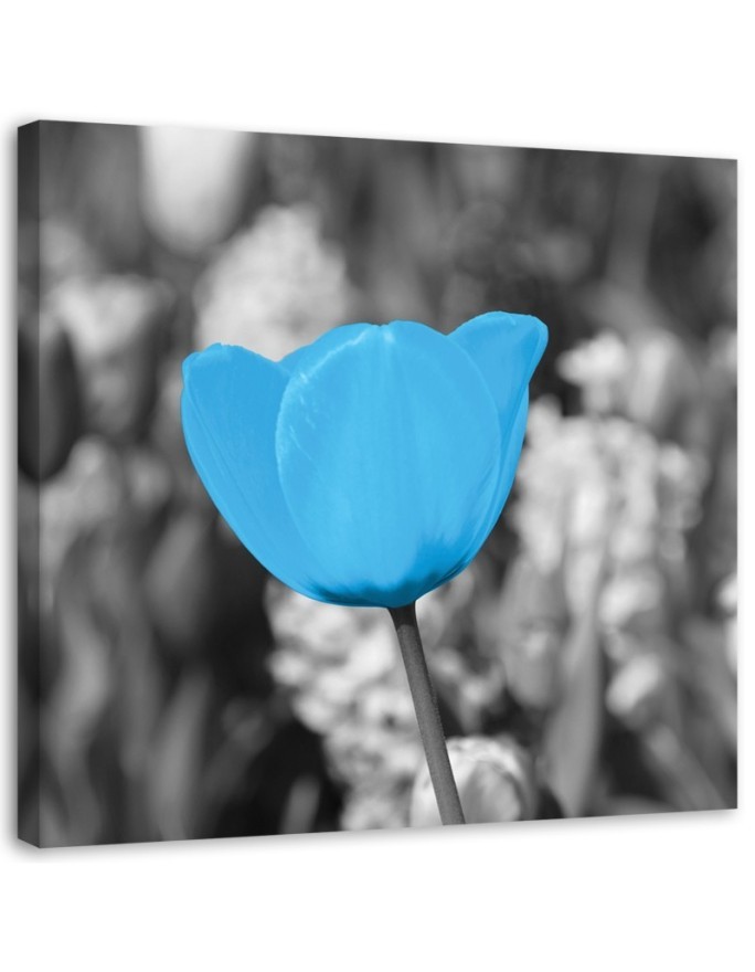 Dekoratives Leinwandbild - Blaue Tulpe | Feeby