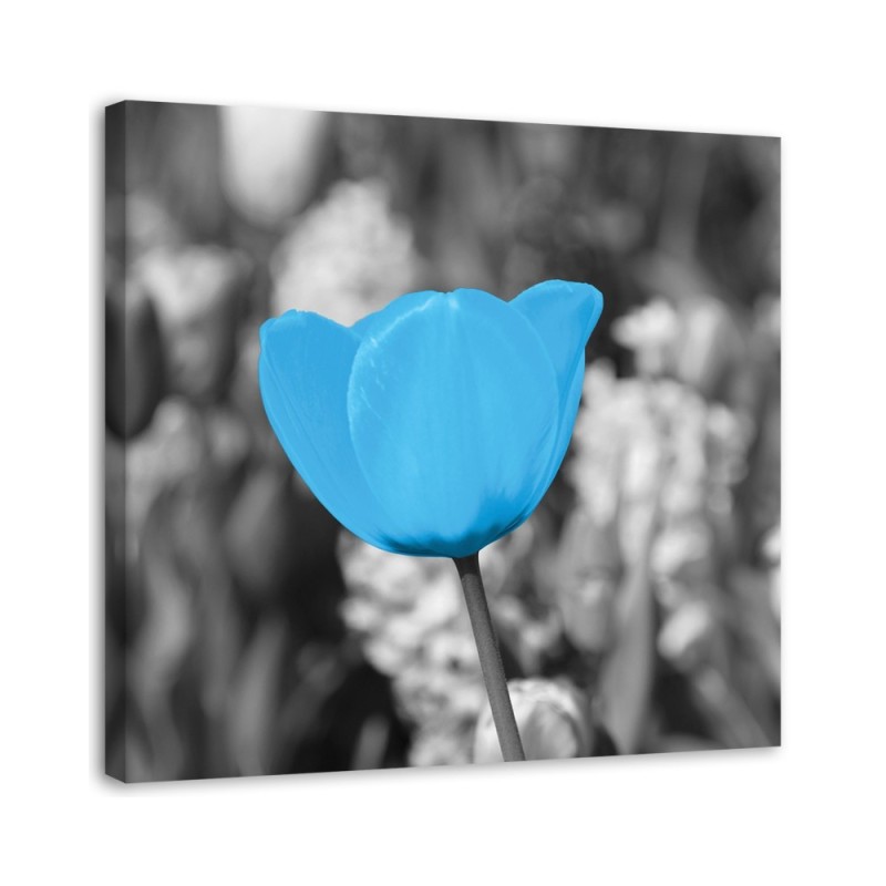 Dekoratives Leinwandbild - Blaue Tulpe | Feeby