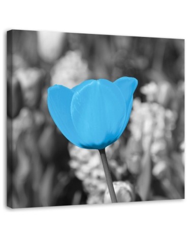Dekoratives Leinwandbild - Blaue Tulpe | Feeby