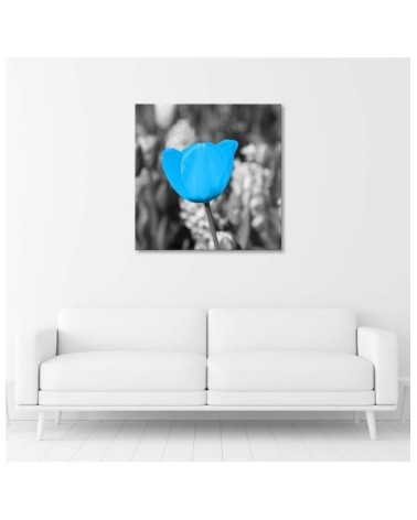 Dekoratives Leinwandbild - Blaue Tulpe | Feeby