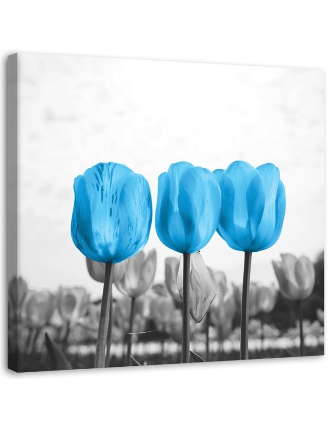 Leinwandbild - Blaue Tulpen | Feeby