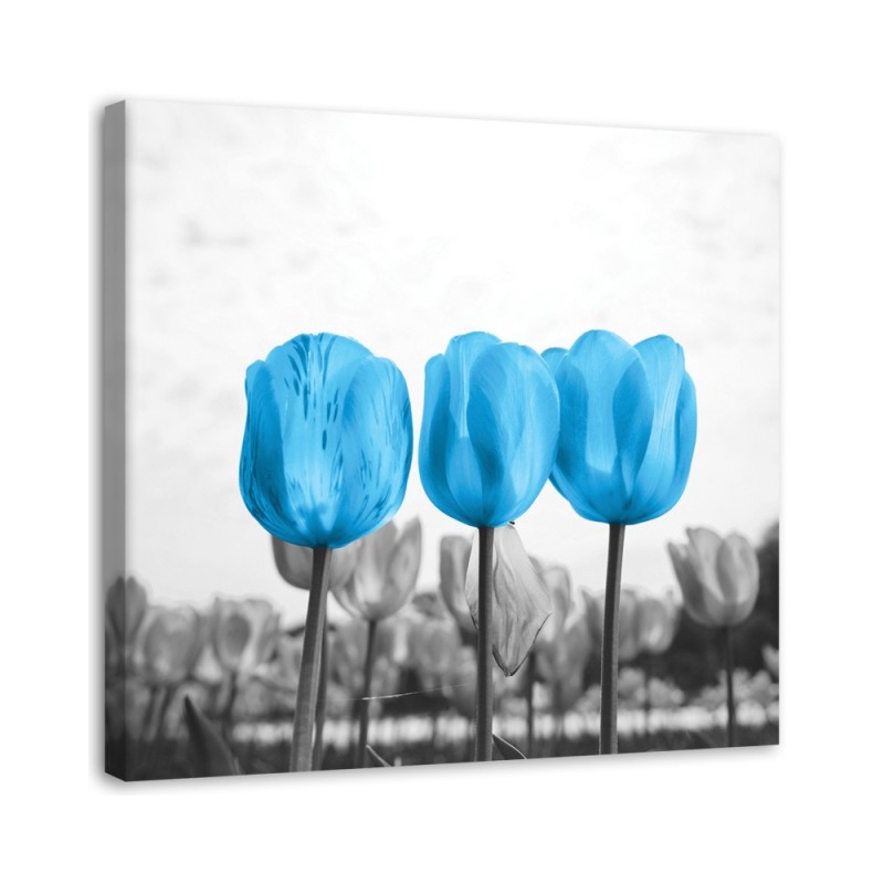 Leinwandbild - Blaue Tulpen | Feeby
