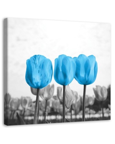Leinwandbild - Blaue Tulpen | Feeby
