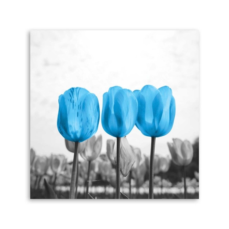 Leinwandbild - Blaue Tulpen | Feeby